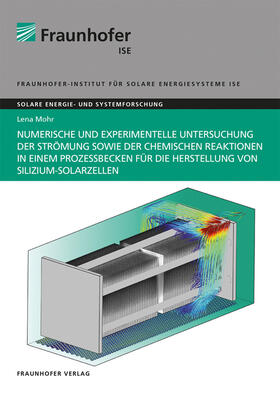 Numerische und experimentelle Untersuchung der Strömung sowie der chemischen Reaktionen in einem Prozessbecken für die Herstellung von Silizium-Solarzellen.