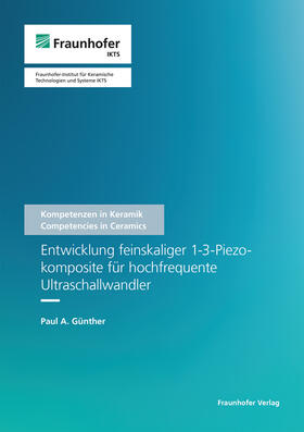 Entwicklung feinskaliger 1-3-Piezokomposite für hochfrequente Ultraschallwandler.