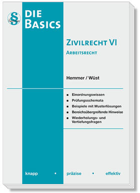 Hemmer: Basics Zivilrecht 6/Arb.