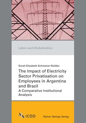 The Impact of Electricity Sector Privatisation on Employees in Argentina and Brazil