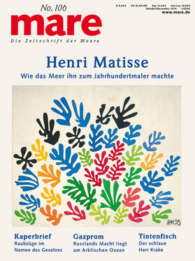 mare No. 106 / Henri Matisse
