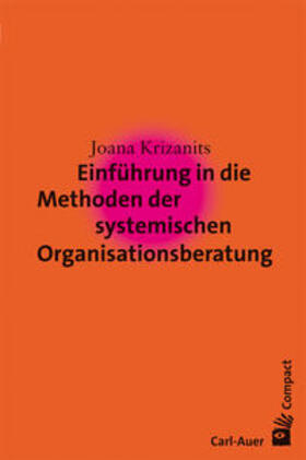 Einführung in die Methoden der systemischen Organisationsberatung