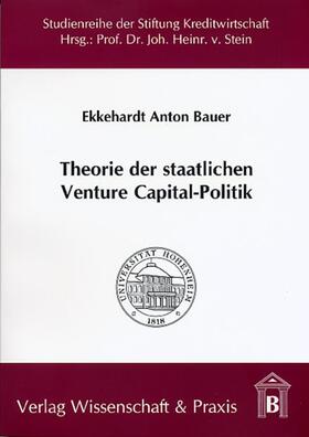 Theorie der staatlichen Venture Capital-Politik