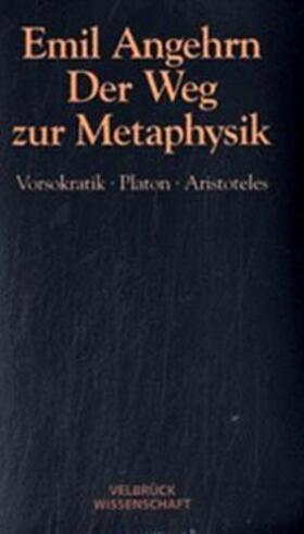 Der Weg zur Metaphysik