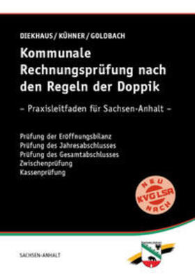 Kommunale Rechnungsprüfung nach den Regeln der Doppik