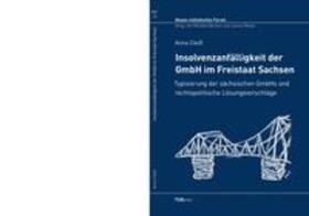 Insolvenzanfällgkeit der GmbH im Freistaat Sachsen