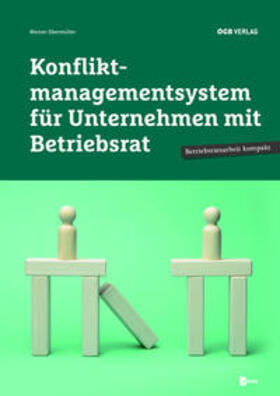 Konfliktmanagementsystem für Unternehmen mit Betriebsrat