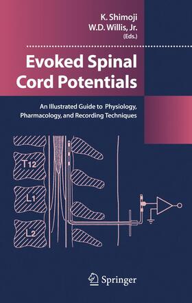 Evoked Spinal Cord Potentials