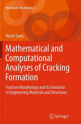 Mathematical and Computational Analyses of Cracking Formation