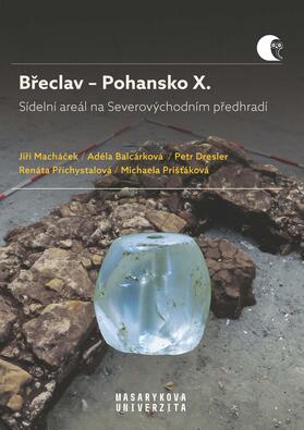 Breclav – Pohansko X. Sídelní areál na Severovýchodním predhradí