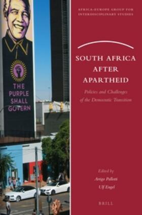 South Africa After Apartheid