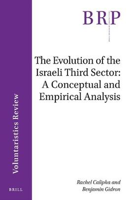 The Evolution of the Israeli Third Sector