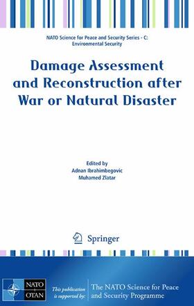 Damage Assessment and Reconstruction after War or Natural Disaster