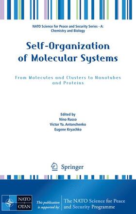 Self-Organization of Molecular Systems