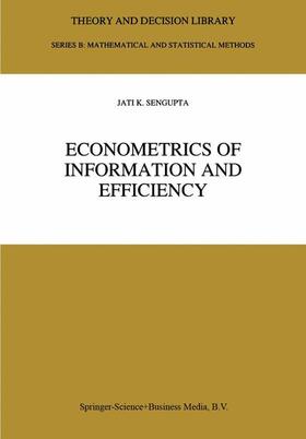 Econometrics of Information and Efficiency