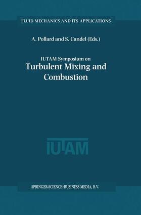 IUTAM Symposium on Turbulent Mixing and Combustion