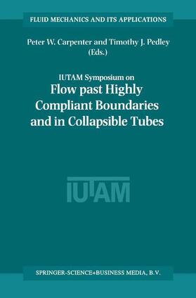 Flow Past Highly Compliant Boundaries and in Collapsible Tubes