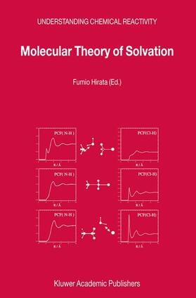 Molecular Theory of Solvation