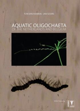 Aquatic Oligochaeta of the Netherlands and Belgium: Identification Key to the Oligochaetes