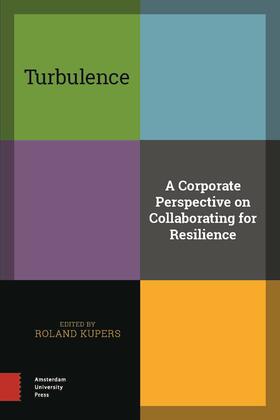 Turbulence: A Corporate Perspective on Collaborating for Resilience