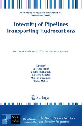 Integrity of Pipelines Transporting Hydrocarbons