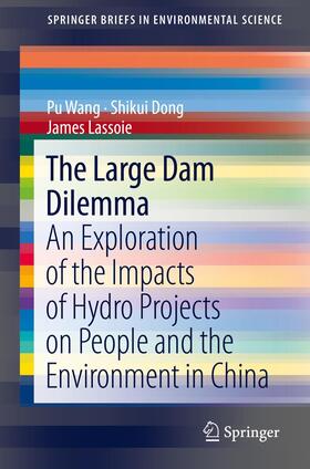 The Large Dam Dilemma