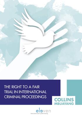 RIGHT TO FAIR TRIAL INT CRIM PROCEED HB