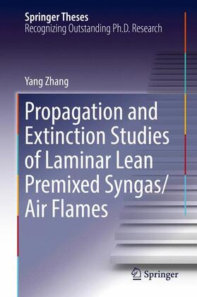 Propagation and Extinction Studies of Laminar Lean Premixed Syngas/Air Flames