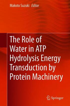 The Role of Water in ATP Hydrolysis Energy Transduction by Protein Machinery