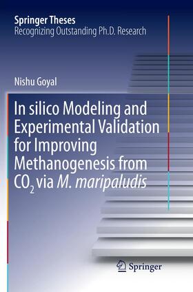 In Silico Modeling and Experimental Validation for Improving Methanogenesis from CO2 Via M. Maripaludis