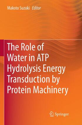 The Role of Water in ATP Hydrolysis Energy Transduction by Protein Machinery