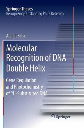 Molecular Recognition of DNA Double Helix