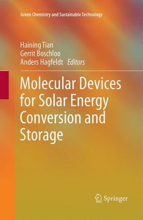 Molecular Devices for Solar Energy Conversion and Storage