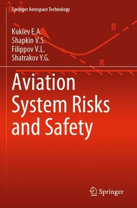 Aviation System Risks and Safety