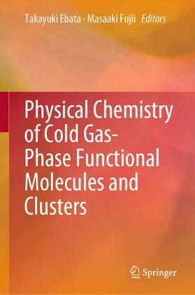 Physical Chemistry of Cold Gas-Phase Functional Molecules and Clusters