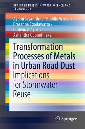 Transformation Processes of Metals in Urban Road Dust