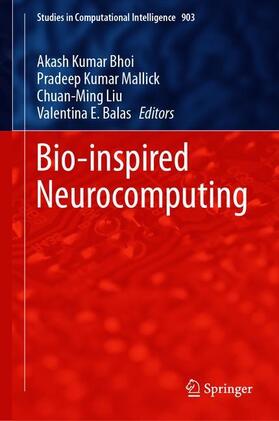 Bio-inspired Neurocomputing