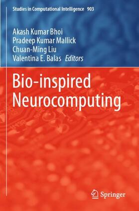 Bio-inspired Neurocomputing