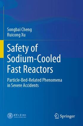 Safety of Sodium-Cooled Fast Reactors