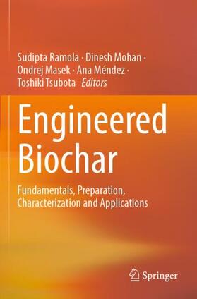 Engineered Biochar