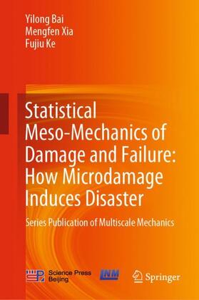 Statistical Meso-Mechanics of Damage and Failure: How Microdamage Induces Disaster