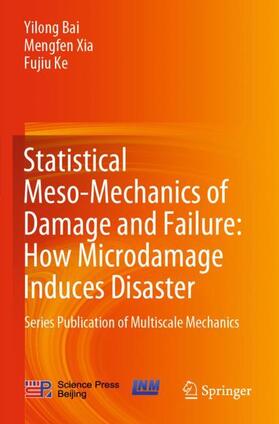 Statistical Meso-Mechanics of Damage and Failure: How Microdamage Induces Disaster