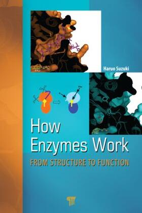 How Enzymes Work