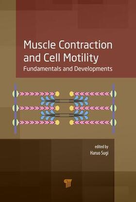 Muscle Contraction and Cell Motility