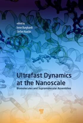 Ultrafast Dynamics at the Nanoscale