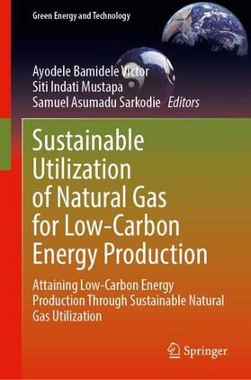 Sustainable Utilization of Natural Gas for Low-Carbon Energy Production