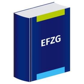 EFZG Onlinekommentar
