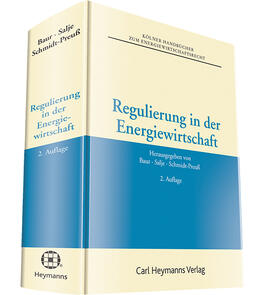 Regulierung in der Energiewirtschaft