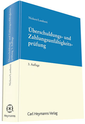 Überschuldungs- und Zahlungsunfähigkeitsprüfung im Insolvenzrecht