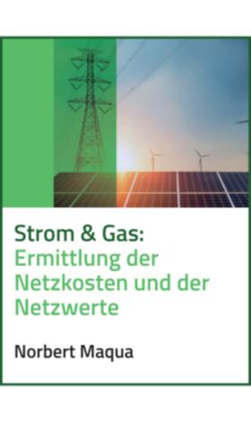 Strom & Gas: Ermittlung der Netzkosten und der Netzwerte